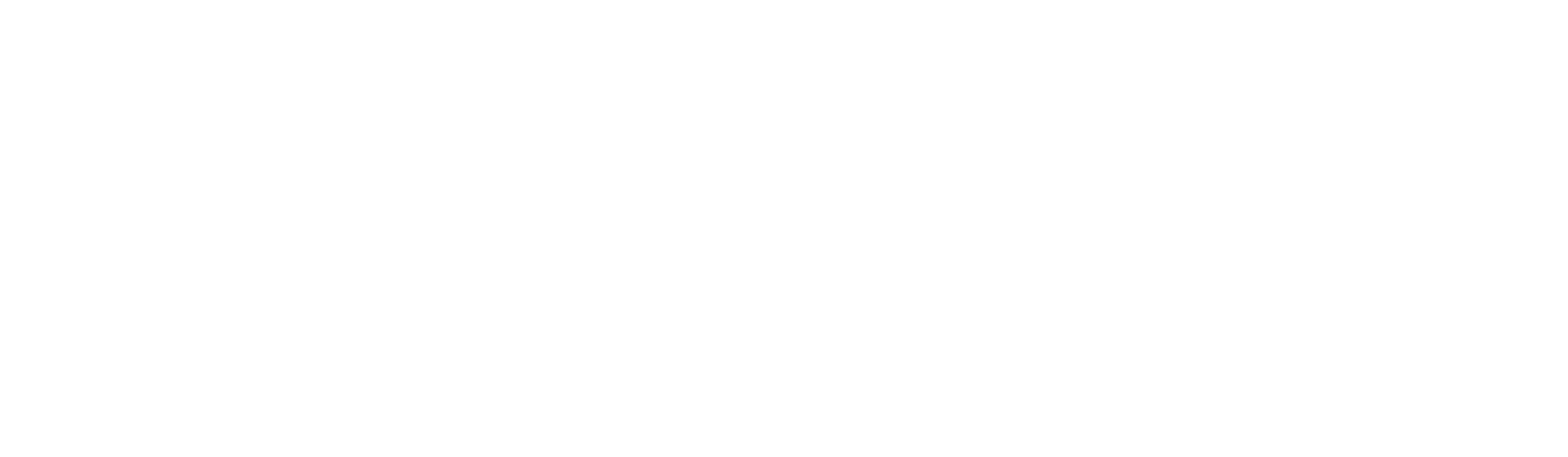 Oasis Technologies